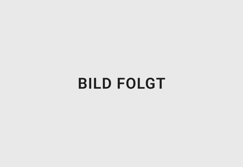 Platzhalter: Bild folgt